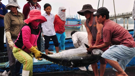 Gỡ thẻ vàng, cần quyết liệt hơn nữa (7/1/2020)