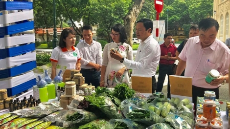 Kết nối tiêu thụ nông sản: Giải pháp hạn chế nông sản khó tiêu thụ (7/1/2020)