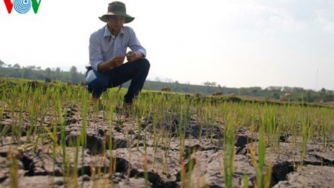 Vụ xuân 2020: khó khăn về nguồn nước (10/1/2020)