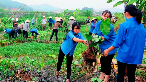 Cùng hành động giữ cho đất nước Việt Nam luôn xanh (27/1/2020)