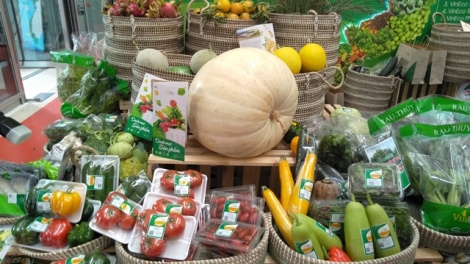 Lâm Đồng: Kinh nghiệm xây dựng và phát triển thương hiệu nông sản (23/1/2020)