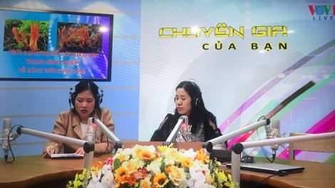 Ứng dụng nghiên cứu khoa học trong nông nghiệp về đông trùng hạ thảo (21/1/2020)