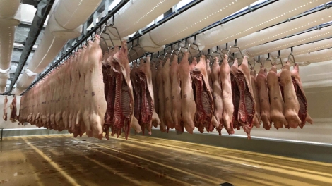 Tăng cường bình ổn giá thịt lợn dịp Tết Nguyên Đán Canh Tý 2020 (17/1/2020)