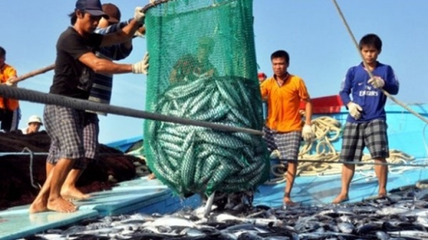 Các giải pháp gỡ cảnh báo thẻ vàng EC trong năm 2020 (13/1/2020)