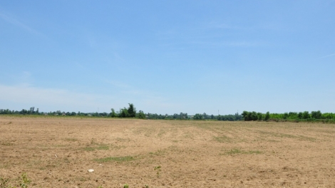 Giấc mơ lớn từ đất (1/1/2020)