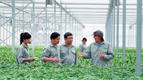 Doanh nghiệp giữ vai trò quan trọng trong tăng trưởng nông nghiệp (4/1/2020)