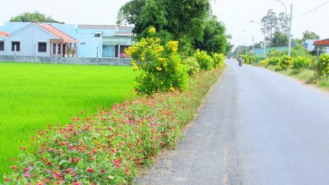 Năm mới trên những làng quê nông thôn mới (3/1/2020)