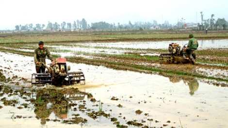 Đối phó nguy cơ thiếu nước đổ ải vụ đông xuân 2020 (16/1/2020)