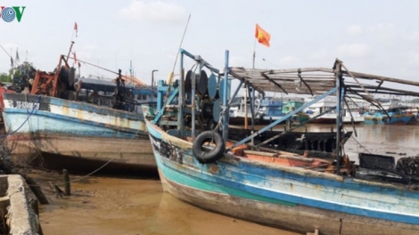 THỜI SỰ 21H30 ĐÊM 11/1/2020: Tỉnh Tiền Giang khẩn trương làm rõ 5 tàu cá của ngư dân bị cháy ước thiệt hại khoảng 13 tỷ đồng