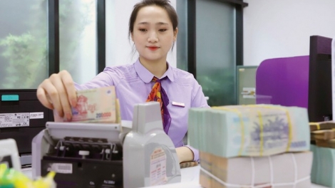 Nhìn lại toàn ngành ngân hàng năm 2019 (15/1/2020)