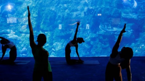 Trải nghiệm tập yoga giữa lòng đại dương. (10/10/2020)