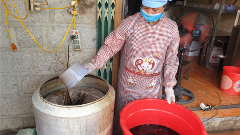 Cây thạch đen góp phần xóa đói giảm nghèo cho nông dân Cao Bằng (7/10/2020)