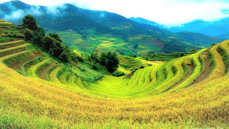 Kiểm soát tốt dịch Covid-19, du lịch Mù Cang Chải (Yên Bái) sôi động trở lại (6/10/2020)