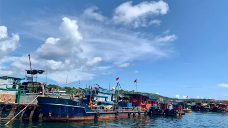 Tăng cường quản lý lao động tham gia hoạt động khai thác thuỷ sản (08/10/2020)