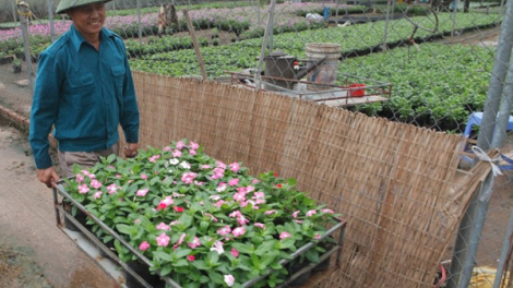 Xét tuyển 2020:  Cánh cửa hẹp cho thí sinh xét tuyển bổ sung vào trường top đầu (Ngày 12/10/2020)