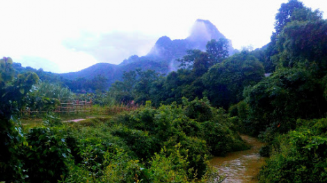 Nông trại Hón Mũ: Nơi những người trẻ sống thuận hòa với thiên nhiên (21/10/2020)