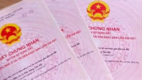 THỜI SỰ 12H TRƯA 30/9/2020: Phát hiện nhiều giấy chứng nhận quyền sử dụng đất giả ở huyện Xuyên Mộc, tỉnh Bà Rịa Vũng Tàu.