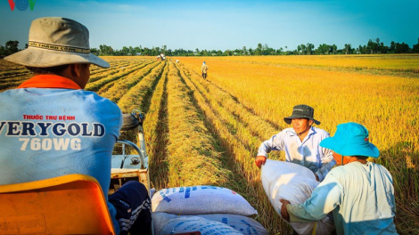 “Đẩy mạnh liên kết sản xuất, phát triển HTX nông nghiệp trong bối cảnh hội nhập”