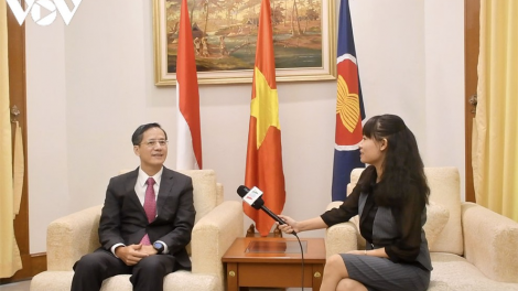Việt Nam-Indonesia: 75 năm Quốc khánh, 65 năm quan hệ ngoại giao (28/10/2020)