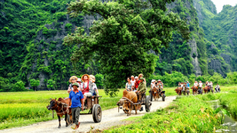 Du lịch nông thôn: Hướng phát triển tiềm năng của tỉnh Ninh Bình (Ngày 19/11/2020)