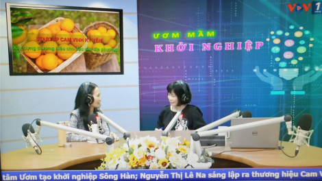 Startup Cam Vinh Kỳ Yến- Hành trình khởi nghiệp xây dựng thương hiệu cho đặc sản địa phương. (08/11/2020)