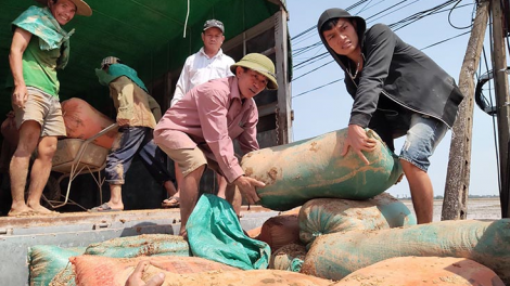 Tạo sinh kế cho người dân sau lũ (23/11/2020)