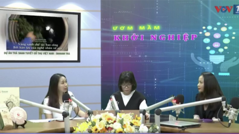 Xây dựng thương hiệu cho quần thể Chè di sản Việt Nam, nhìn từ dự án khởi nghiệp Trà shan tuyết cổ thụ SHANAM (22/11/2020)