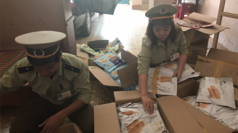 Bình Định: Tiêu hủy hàng hóa vi phạm hành chính trị giá nửa tỉ đồng (26/11/2020)