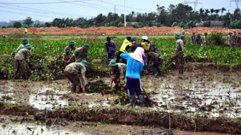 Chủ động giống cây trồng phục vụ sản xuất sau mưa lũ (05/11/2020)