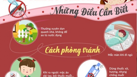 Sốt xuất huyết bùng phát: Người dân không được chủ quan (Ngày 15/11/2020)
