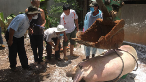 "Vững” truyền thống công binh hải quân (05/11/2020)