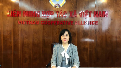 Mô hình Hợp tác xã kiểu mới khơi dậy sức mạnh tập thể trong phát triển kinh tế (11/12/2020)