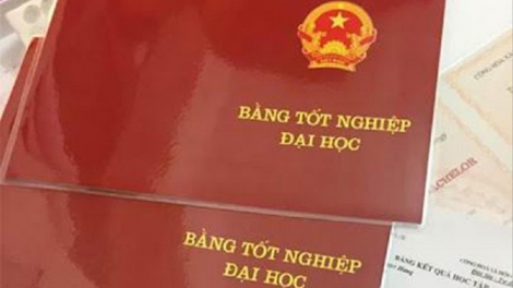 Cần công khai danh tính người "mua bằng" của Đại học Đông Đô (22/12/2020)