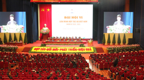 THỜI SỰ 6H SÁNG 22/12/2020: ĐH đại biểu toàn quốc Liên minh HTX Việt Nam lần thứ VI, nhiệm kỳ 2020 – 2025 với sự tham dự của 600 đại biểu