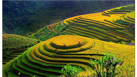 THỜI SỰ 6H SÁNG 12/12/2020: Thủ tướng Nguyễn Xuân Phúc: Việt Nam trở thành chỗ dựa vững chắc, tin cậy trong ASEAN