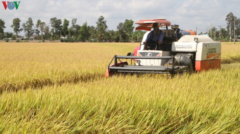 Nông nghiệp tăng trưởng vượt bậc nhờ thắng lợi kép (29/12/2020)