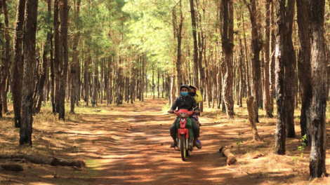Gia Lai: Sân Golf, rừng và lòng tin (18/12/2020)