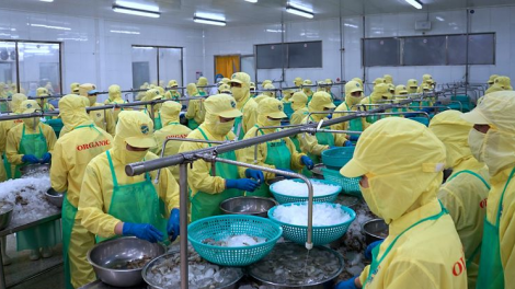 THỜI SỰ 6H SÁNG 27/12/2020: Bất chấp dịch Covid-19, xuất khẩu của TPHCM vẫn tăng trưởng