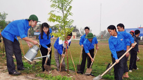 Trồng cây xanh chính là tạo ra chỉ số hạnh phúc màu xanh (06/12/2020)