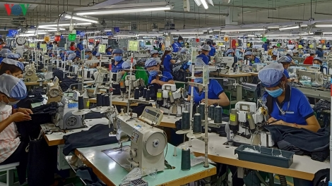 Ảnh hưởng của Covid 19: Doanh nghiệp được tạm dừng đóng BHXH (27/11/2020)