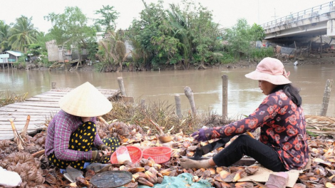 Cuộc sống mưu sinh của người miền Tây ở "Sài thành" (21/12/2020)