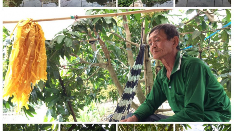 Loạt bài "Chuyển đổi tư duy phát triển ĐBSCL". Bài 3 nhan đề “Vượt thách thức để Cửu Long cất cánh”. (30/12/2020)