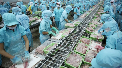 Năm 2020: Ngành thuỷ sản vượt khó duy trì giá trị xuất khẩu (31/12/2020)