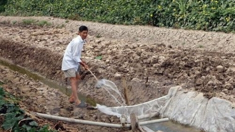 Các tỉnh đồng bằng sông Cửu Long ứng phó với hạn mặn (12/2/2020)