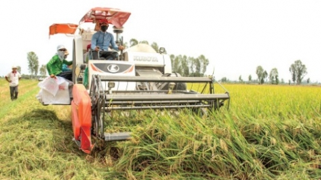 THỜI SỰ 12H TRƯA 21/2/2020: Hội nghị trực tuyến toàn quốc "Thúc đẩy phát triển công nghiệp chế biến nông sản và cơ giới hóa nông nghiệp."