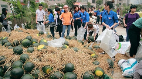 Làm sao để không cần "giải cứu nông sản"? (17/2/2020)
