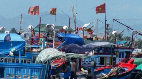 Những giải pháp hỗ trợ ngư dân vươn khơi bám biển (20/2/2020)