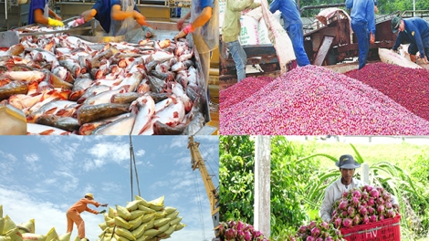 Ứng phó dịch viêm phổi cấp: Cơ hội để doanh nghiệp tham gia sâu vào chuỗi giá trị nông sản (7/2/2020)