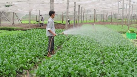 Động lực nào tạo nên sự bứt phá cho nông nghiệp 2020?