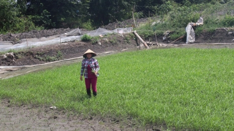 THỜI SỰ 18H CHIỀU 10/2/2020: Bộ Nông nghiệp và Phát triển nông thôn kiểm tra tình hình hạn mặn tại các tỉnh đồng bằng sông Cửu Long.
